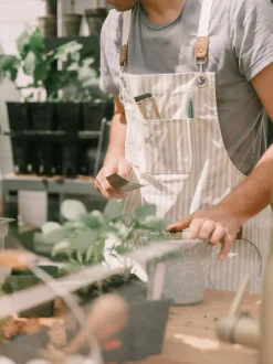 Business & Pleasure Co. The Apron - Lauren'S Sage Stripe