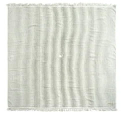 Business & Pleasure Co. The Beach Blanket - Lauren'S Sage Stripe