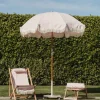 Business & Pleasure Co. The Classic Base - 55 Lbs - Dusty Pink