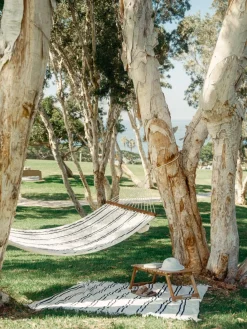 Business & Pleasure Co. The Hammock - Malibu Black Stripe