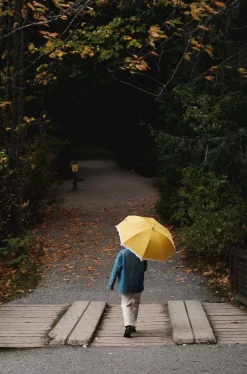 Business & Pleasure Co. The Rain Umbrella - Rivie Mimosa